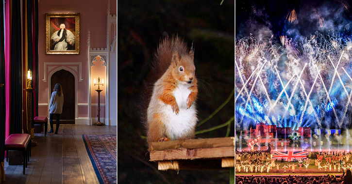 left to right - woman standing inside Auckland Castle, Red Squirrel and Kynren finale fireworks